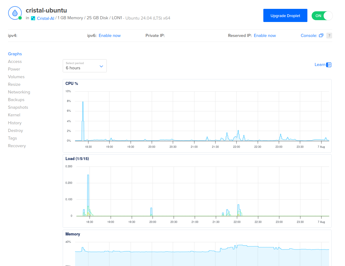 Screenshot of data measured on the server I used for this project