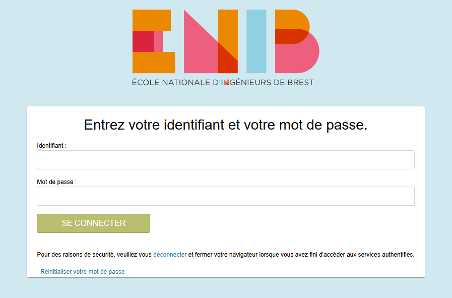 Portail de connexion SSO|inline